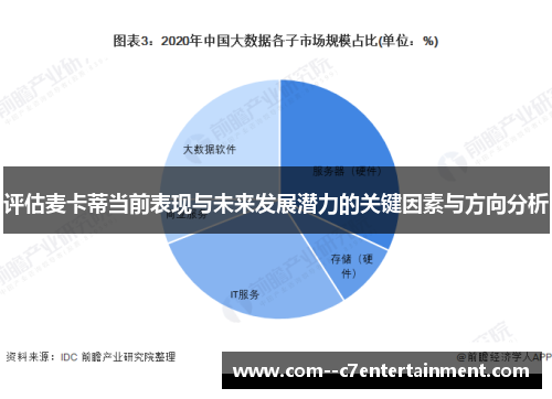 评估麦卡蒂当前表现与未来发展潜力的关键因素与方向分析 评估麦卡蒂当前表现与未来发展潜力的关键因素与方向分析