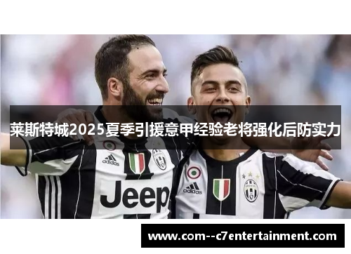 莱斯特城2025夏季引援意甲经验老将强化后防实力