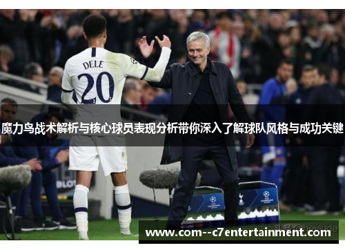 魔力鸟战术解析与核心球员表现分析带你深入了解球队风格与成功关键